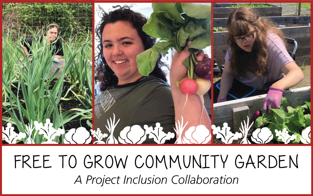 Project Inclusion collaborates to launch the Free To Grow Community Garden